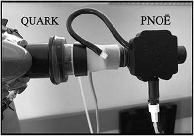 Validity and Reliability of the New Portable Metabolic Analyzer PNOE